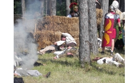 Festival anul 2010